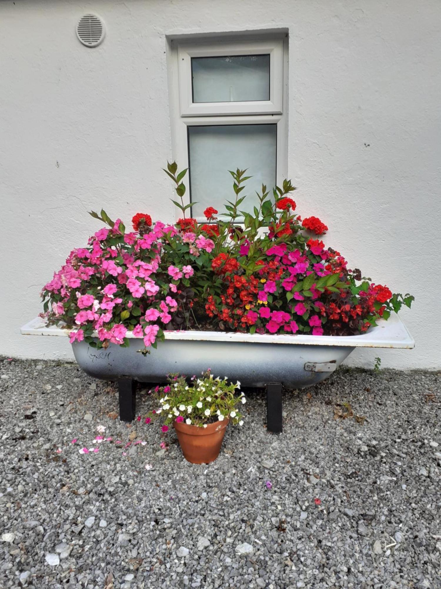 Cummins Cottages Ballycrossaun Kültér fotó
